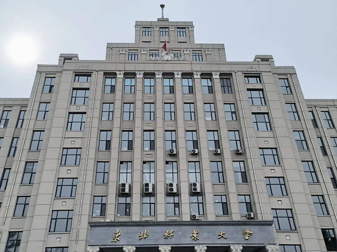 东北林业大学(东北林业大学教务系统)