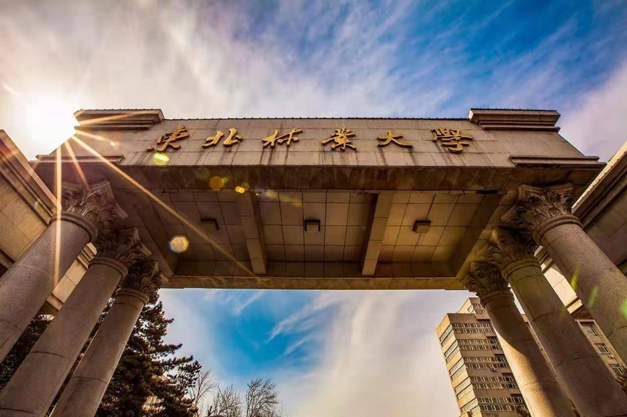 东北林业大学(东北林业大学教务系统)