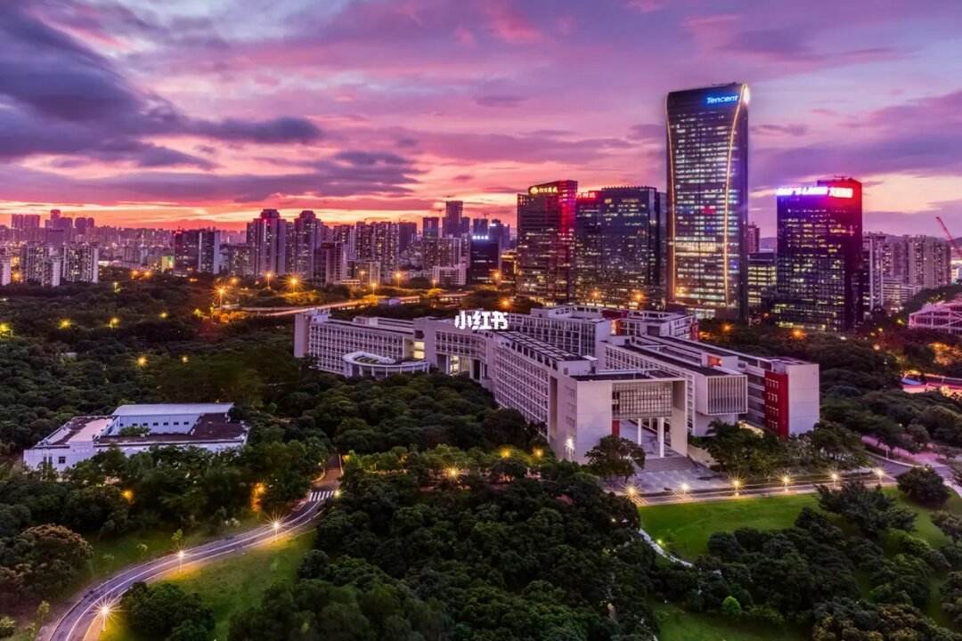 深圳大学(深圳大学生家教一对一上门价格)