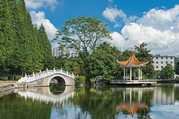 合肥工业大学(合肥工业大学是985还是211)