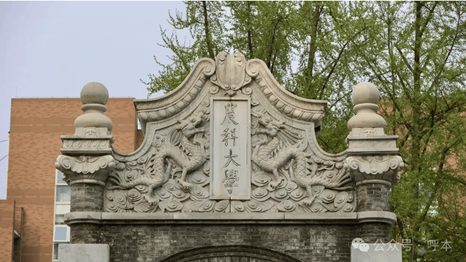 中国农业大学(中国农业大学综合服务平台)