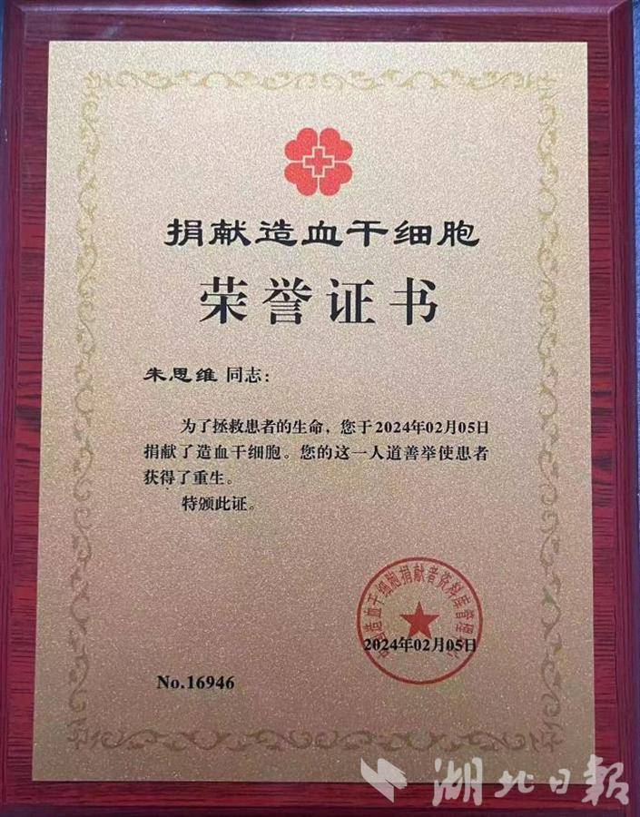 武汉理工大学文凭(武汉理工大学学历查询系统)