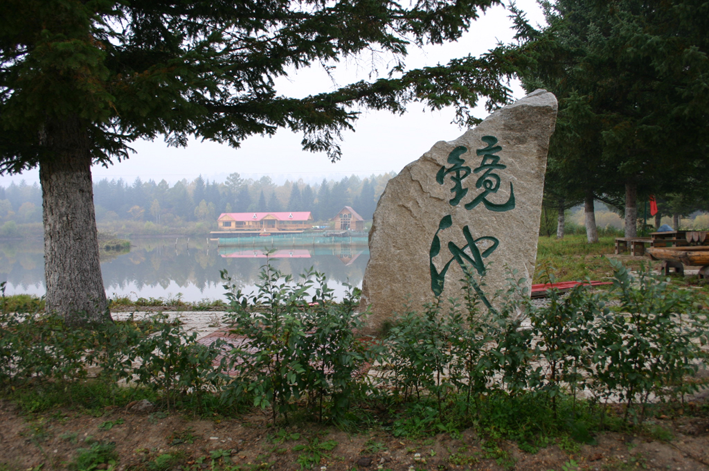 东北林业大学文凭(东北林业大学文凭好考吗)