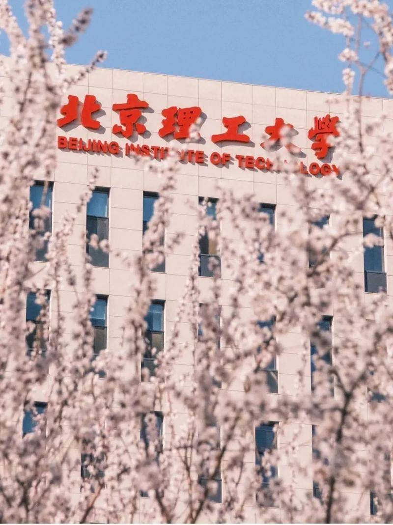 北京理工大学文凭(北京理工大学毕业是什么学历)