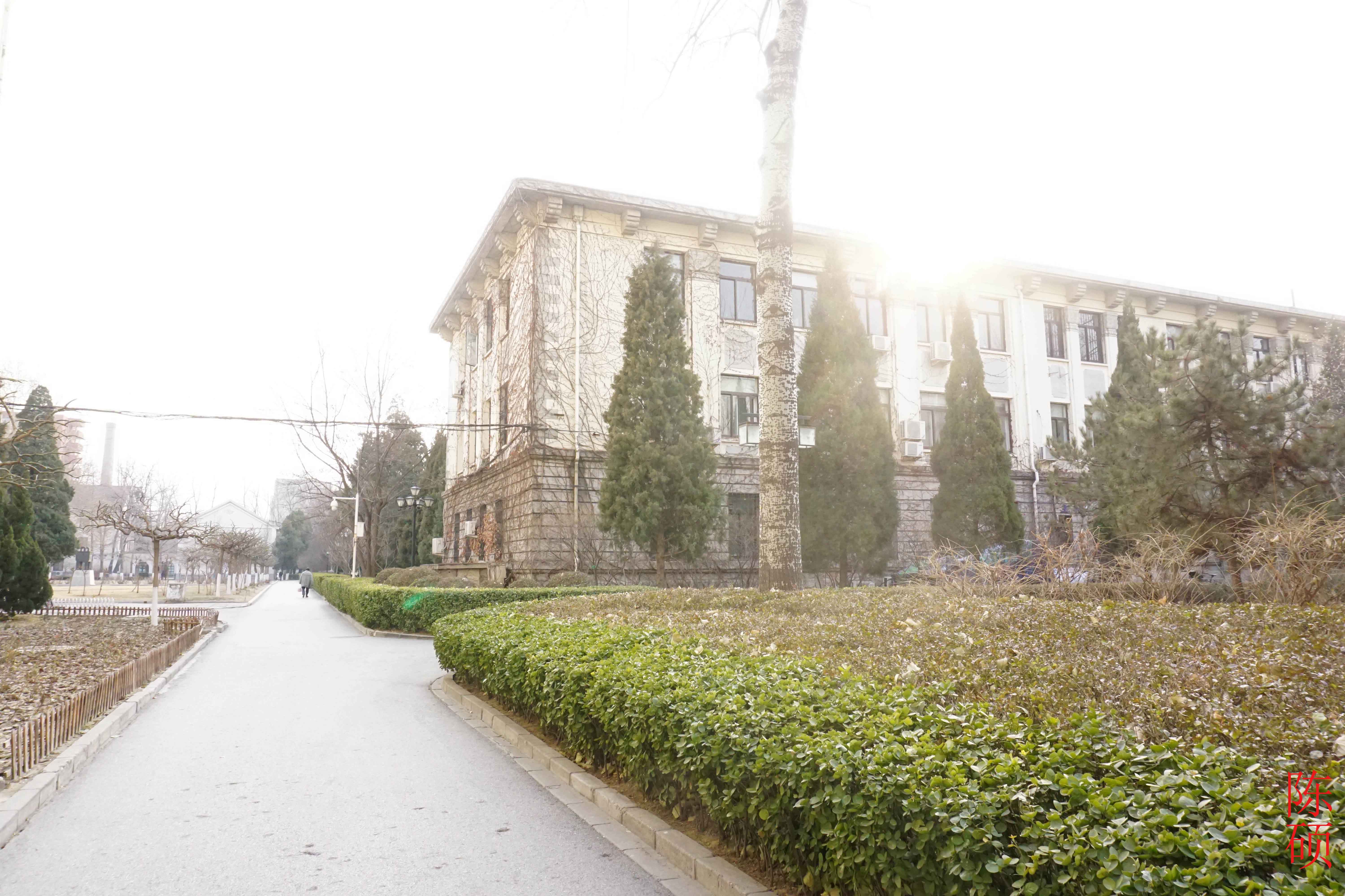 北京科技大学毕业证(北京科技大学毕业证扫描件)