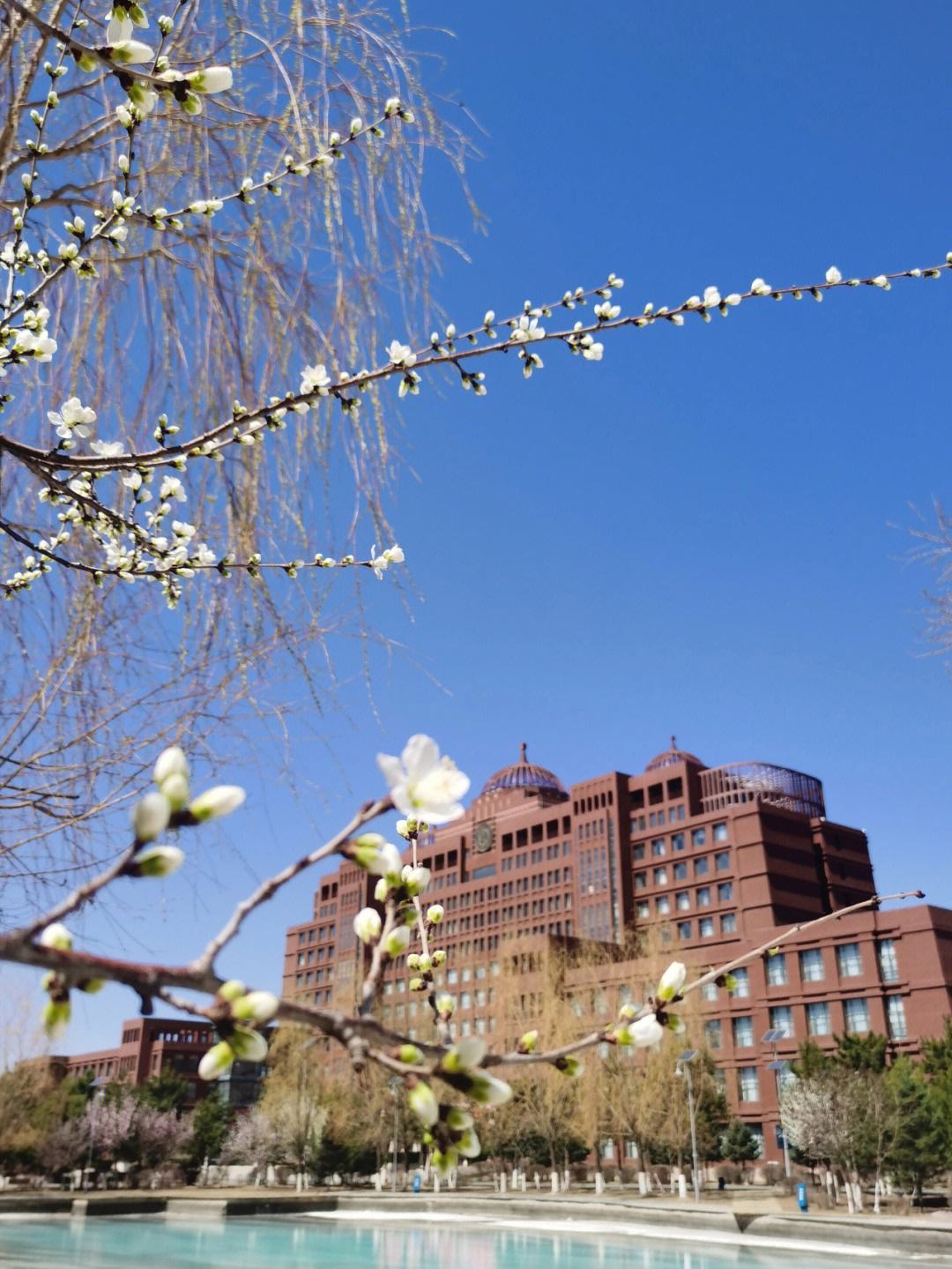 内蒙古大学(内蒙古大学录取分数线2024)