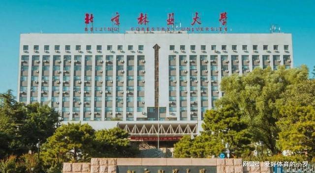 北京林业大学(北京林业大学录取分数线2024)