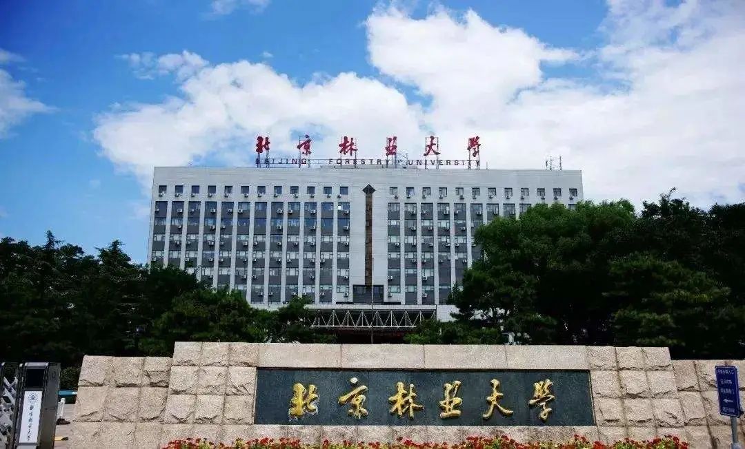 北京林业大学(北京林业大学录取分数线2024)